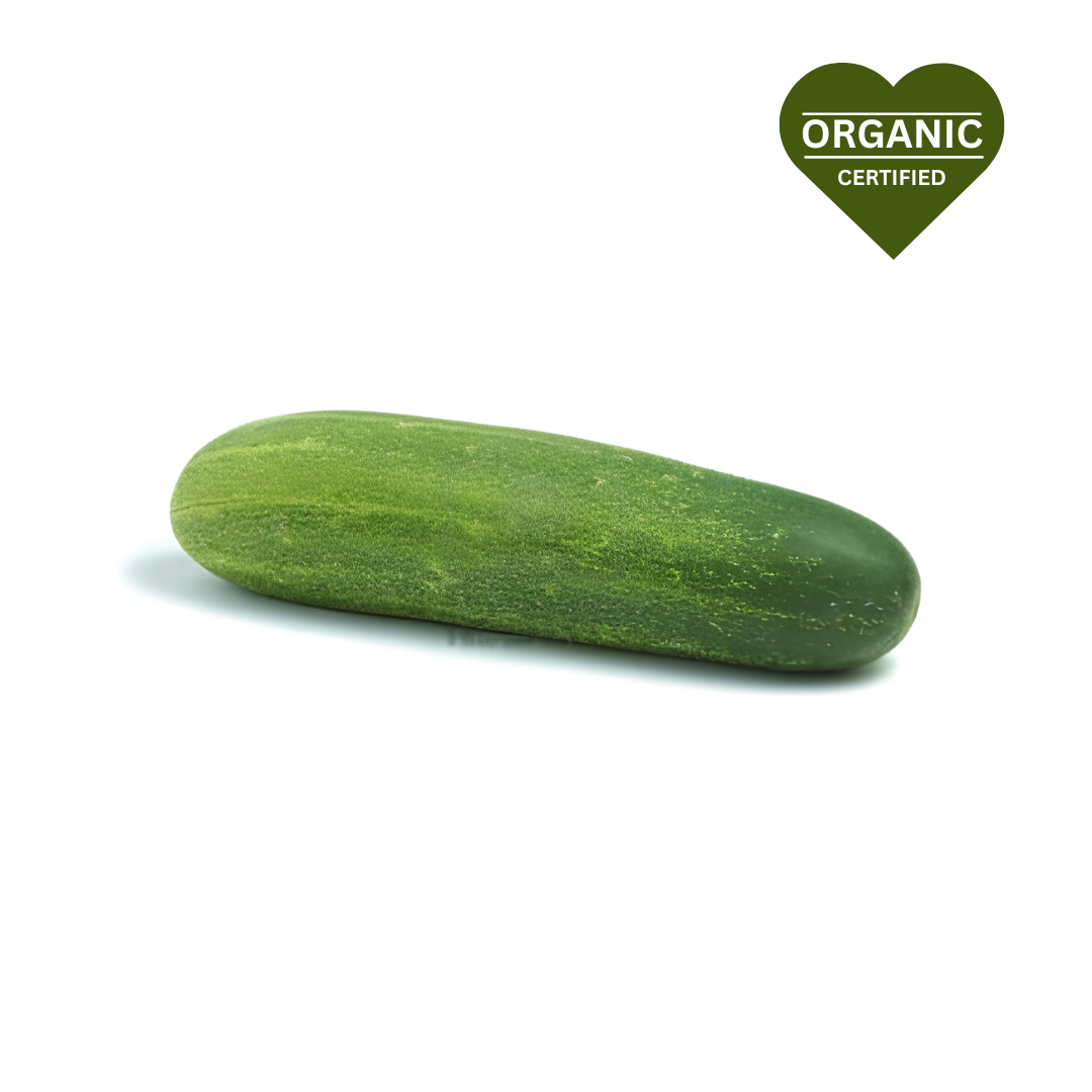 Cucumber - Large New Season (each)