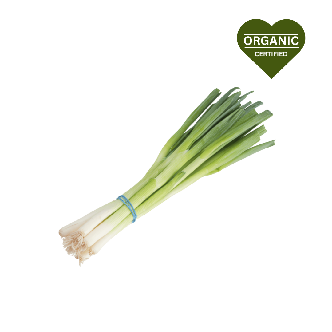 Spring Onion (bunch)