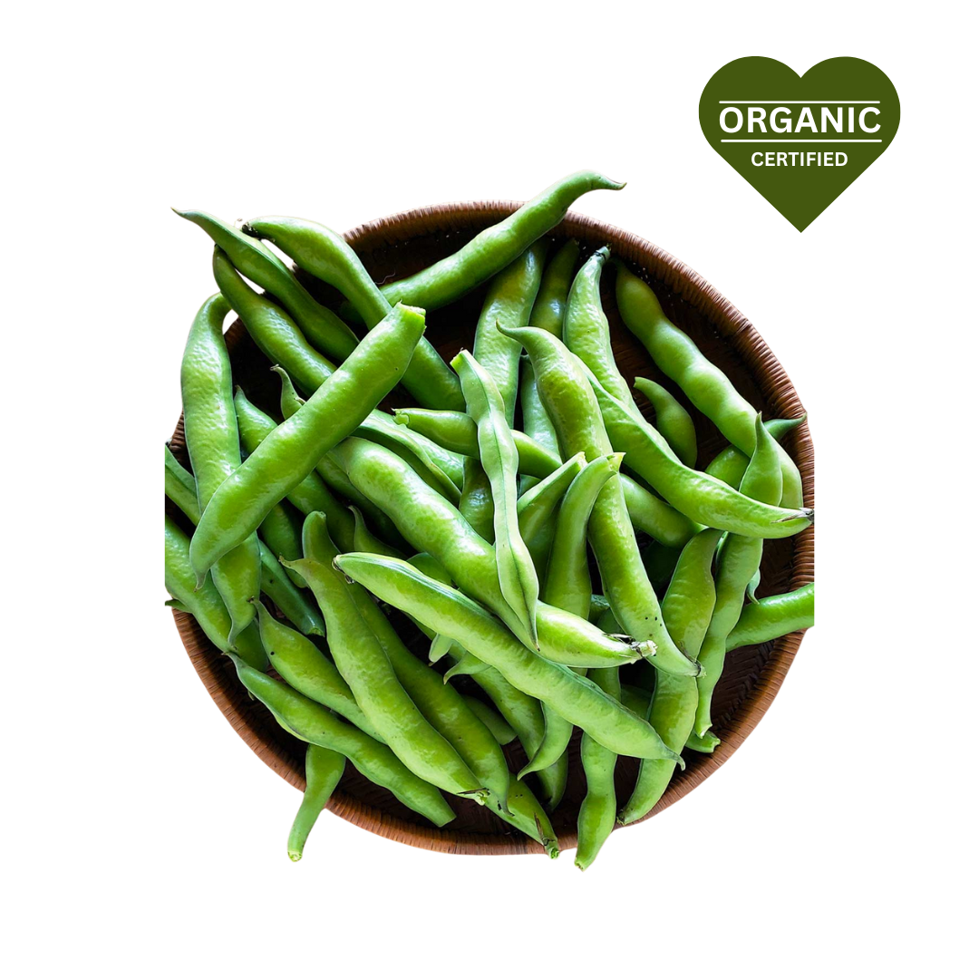 Broad Beans (500grams)